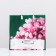 Spring Lilac package, soft plastic, 30 x 30 cm, 120 μm
