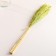 Set of dried flowers "reed", banch length 65 (+/- 6 cm), green