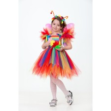 Carnival costume 