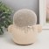 Growing gift Eco -Zhizhivchik "Football" Gift packaging