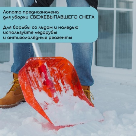 Polycarbonate shovels, 430 × 420 mm, without a plank, with a calf under the stalk, mix-5