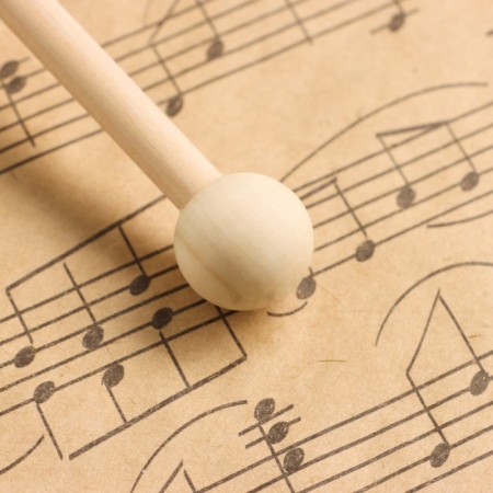 Musical instrument Gong Music Life 22 cm, Kolotushka in the kit-2
