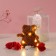 Set Gift "Bear Cinnamon with a bow" soap red roses 5 pcs, dew 7x7x12 cm