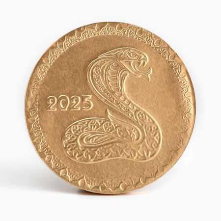 Chocolate medal "Snake", 24 g-1