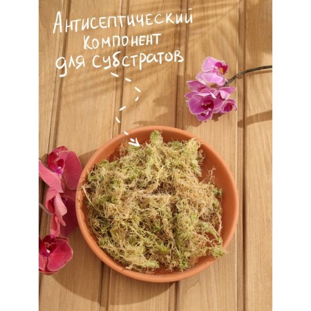 Мох "Рецепты Дедушки Никиты" 0,7 л-2