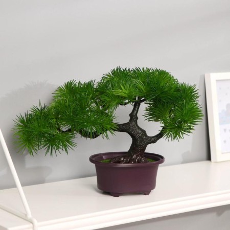 Bonsai in the Dendroart pot 12x17 cm, mix-3
