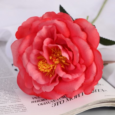 Artificial flowers "Rose Pretty" D-10 cm 55 cm, peach-1