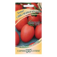 Seed Tomat 