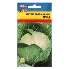Cabbage Cabbage seeds 