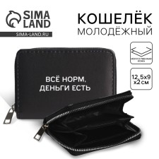 Кошелек молодежный "Деньги есть" 12.5х9х2 см