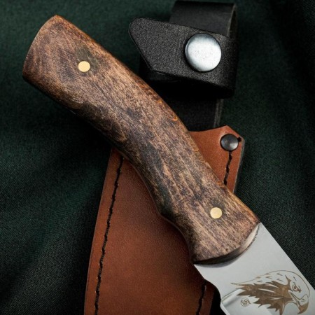 Knife falcon, stainless steel 65x13-2