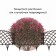 Decorative fence, 34 × 270 cm, 6 sections, plastic, brown, “diadem”