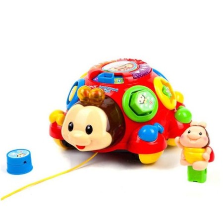Developing toy "Talking Beetle"
