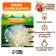 Pion "Duchesse de Nemurs", rr 2/3, 1 pc,