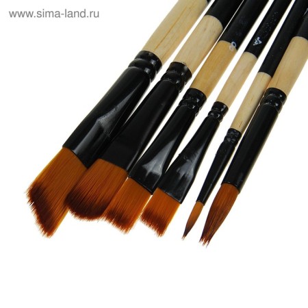 Set of brushes nylon 6 pieces: 2 round, 4 flat-2