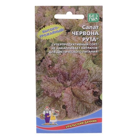 Chervona Ruta salad seeds, 0.25 g
