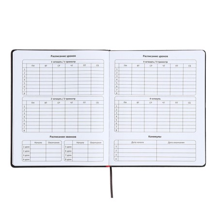 Universal diary for grades 1-11 "Font", firm cover of artificial leather, lies, 48 ​​sheets, black and blue-5