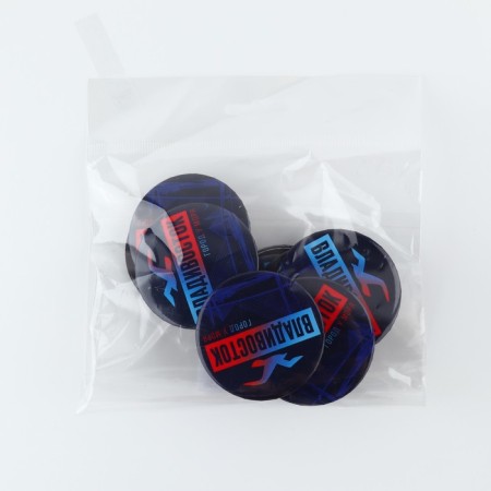 Sunset magnet "Vladivostok"-4