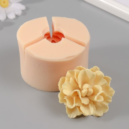 Silicone Mold "Pion Madagascar" d = 6 cm, height 4.5 cm mix