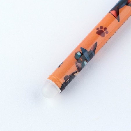 PEC PLACE WRITE-WRITIRY WITH THE COVER "Spy HANCHE", Blue Paste, Gel 0.5 mm-5