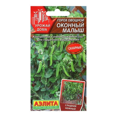 Seed peas of vegetable "window baby", c/n, 10 pcs