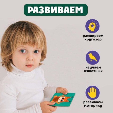 Developing set "Forest animals", tactile cards-4