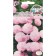 Flower seeds Margarita "Pani Wanda" 0.05 g