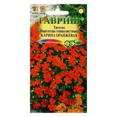 Flower seeds of velvet "Karina Orange", thin -leaved, 0.05 g-2