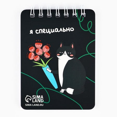 Gift set "Real Kotomania", pencils 2 pcs, eraser 2 pcs, notebook-3