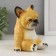 The piggy bank "Bulldozh is small" height 14 cm, width 12 cm, length 12.5 cm