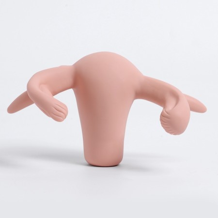 Vagina layout polled 19*13*17cm-3