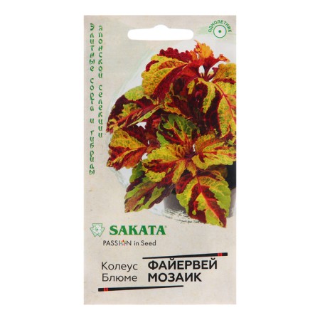 Seeds Koleus "Fireweve Mosaic", 4 pcs.