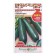 Semen zucchini zucchini "Square", c/p, 4 g