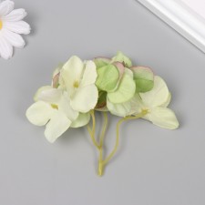 A bud on the leg for decoration 