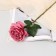 Artificial flowers "Rose Aesthetics" 10x49 cm, ash-pink