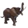 Animal set "The mysterious world of animals", 6 figures