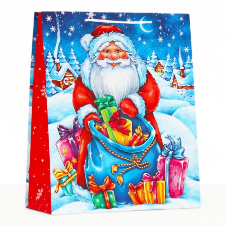 Gift package "Gift bag", 26 x 32 x 12 cm-1