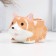 Kashpo "Corgi" 14x9x8cm
