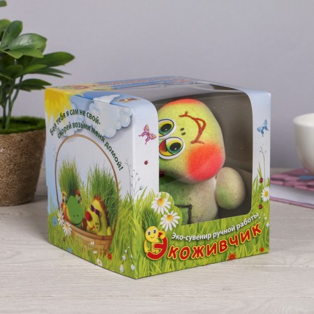 Growing gift Eco -Zhizhivchik "Turtle" in gift package mix-7