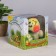 Growing gift Eco -Zhizhivchik "Turtle" in gift package mix