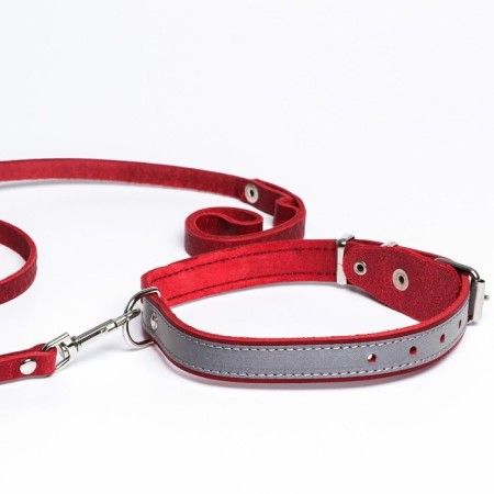 Set of collar (34-45x2 cm) reflective and leash (130x1 cm), red-7