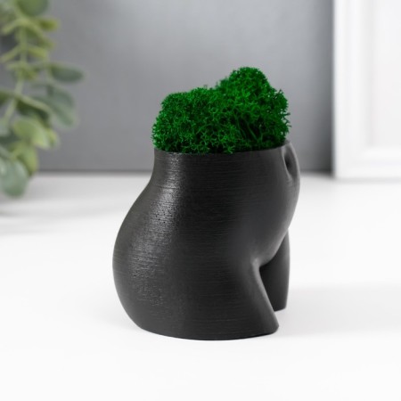 Kashpo concrete "innocent species" height 6.5cm, width 8.5 cm black with moss-2