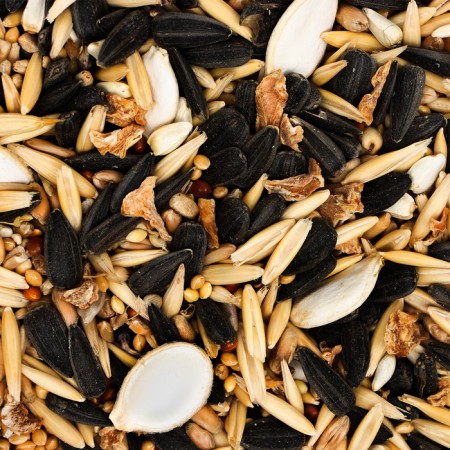 Feed "Pijon" for medium parrots, with nuts, 400 g-1
