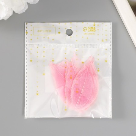 Leaves skeletoned for creativity "light pink" set 20 pcs h = 6-6.5 cm-3