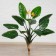 Artificial tree "Strelia" 85 cm
