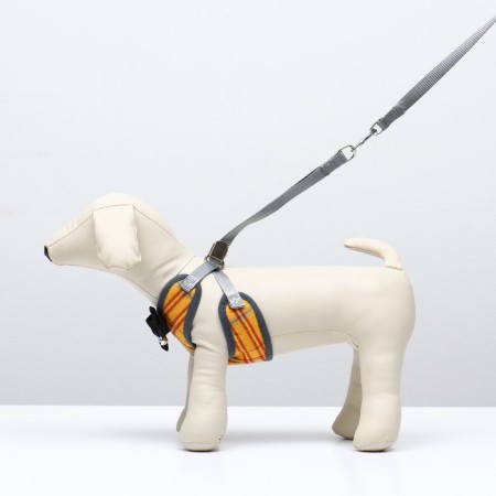 A set of ammunition with a soft harness, s, leash 120 x 1 cm, Osh 20-40 cm, og 30-44 cm, yellow-1