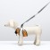 A set of ammunition with a soft harness, s, leash 120 x 1 cm, Osh 20-40 cm, og 30-44 cm, yellow