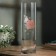 Vase for flowers "Rose", straight.