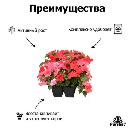 Пуршат-М водорастворимое средство для петуний, 1кг-3