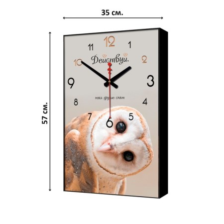 Carty clock is wall-mounted, interior "owl. Act", smooth move, 57 x 35 x 4 cm-2